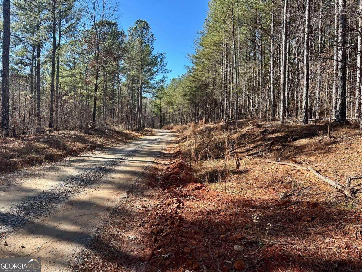 1107 Larmon Forks Road - Photo 1