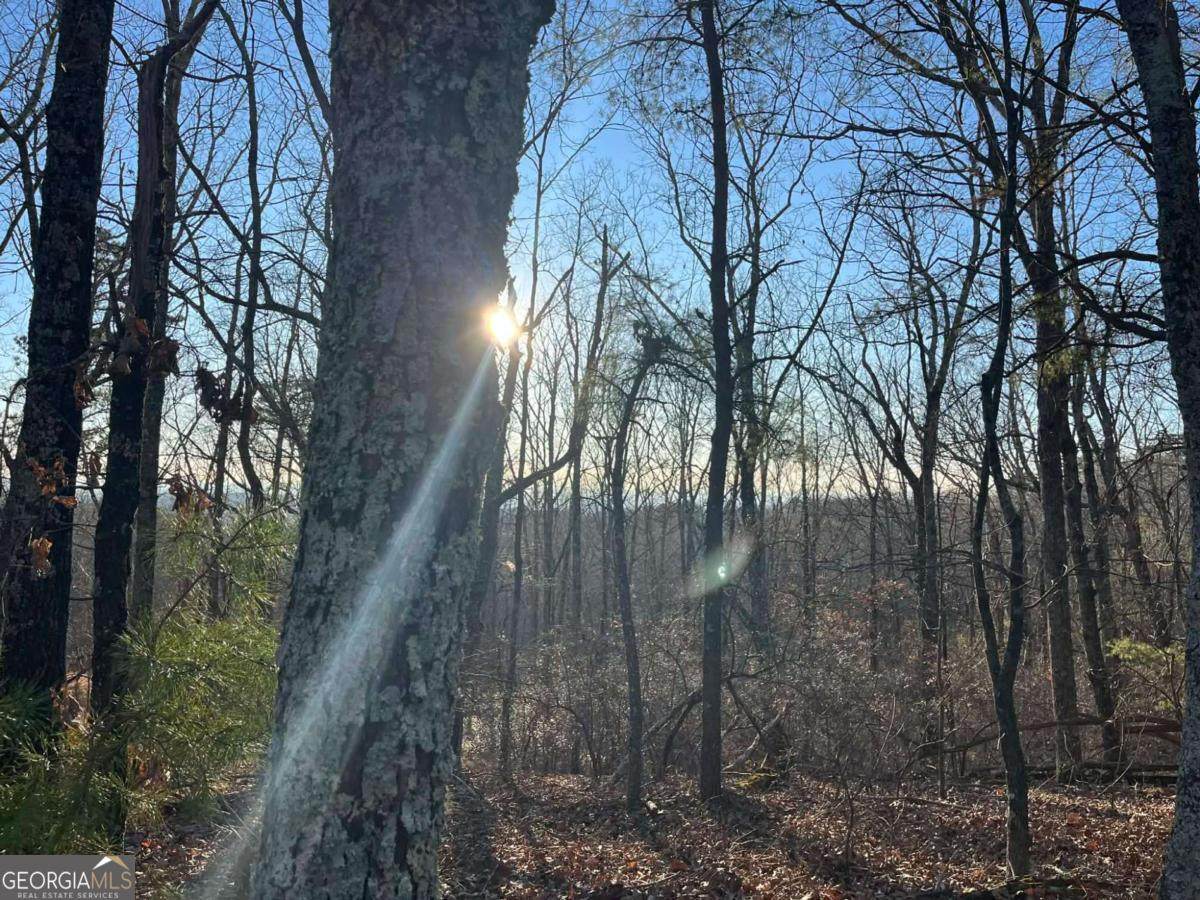 1171 Hunter Drive - Photo 1