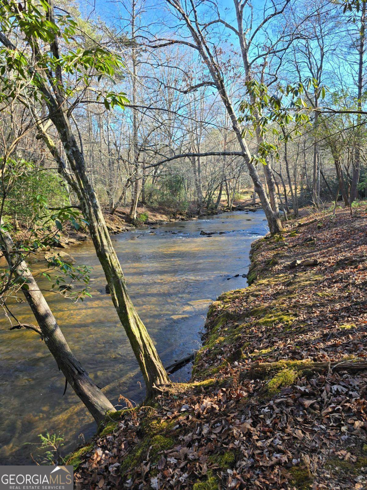 LOT 11B Spence Road - Photo 1