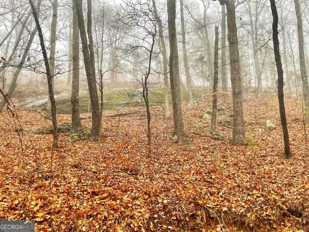 0 Fox Mountain Road - Photo 1