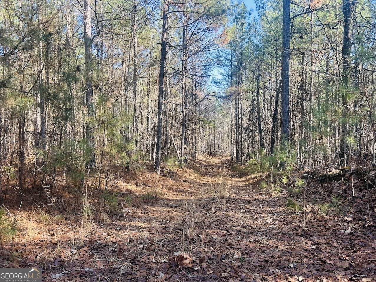 0 Bluff Springs Road - Photo 1