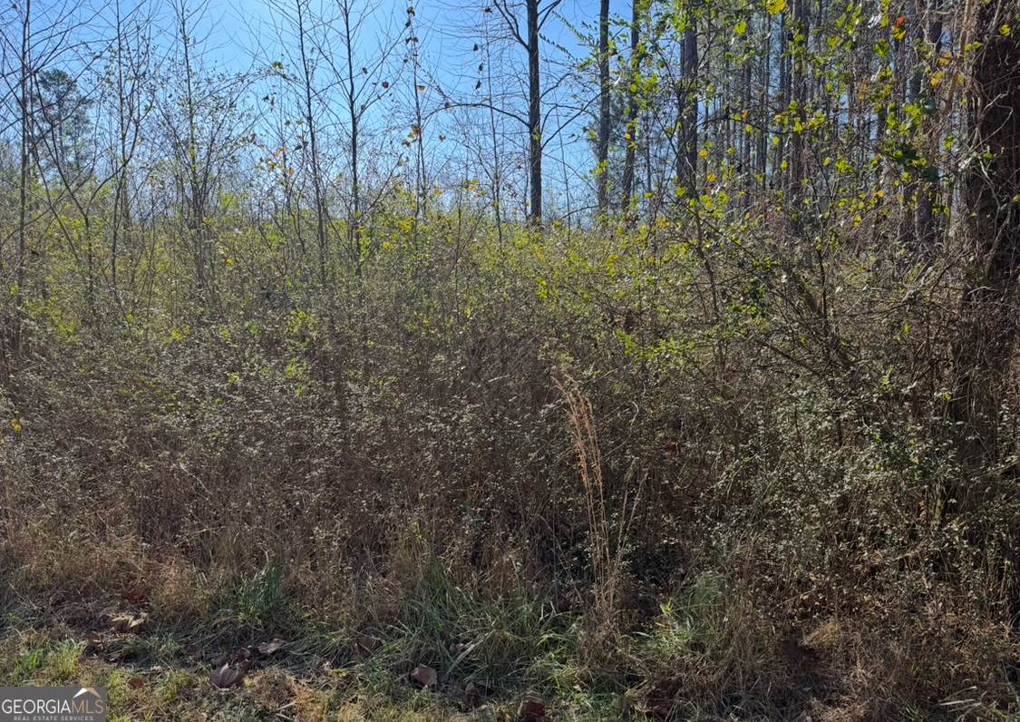 0 Norton Road - Photo 1