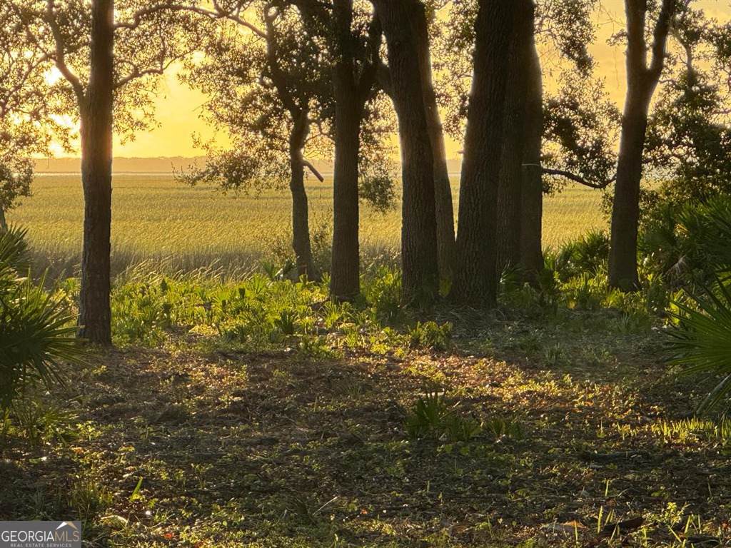 206 Charleston Way - Photo 1