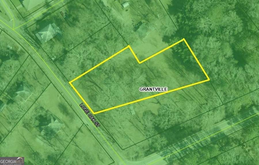 110 Lone Oak Street - Photo 1