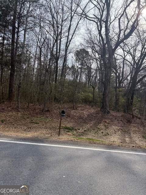 5579 Highway 186 - Photo 1