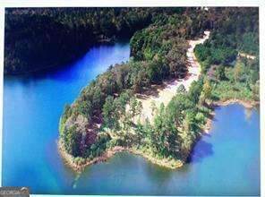 709 Giverny Way - Photo 1