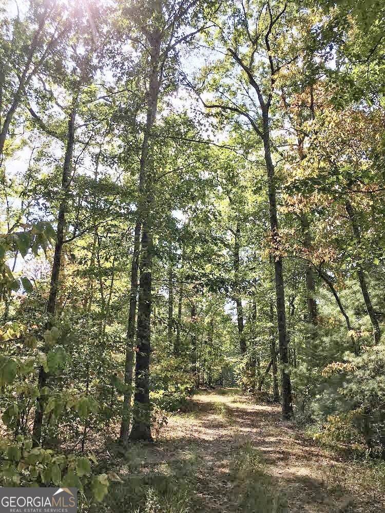 0 Donley Road - Photo 1