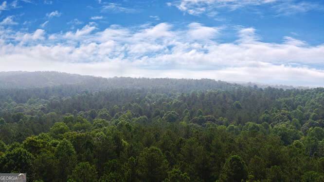 0 Mt. Sinai Road - Photo 1