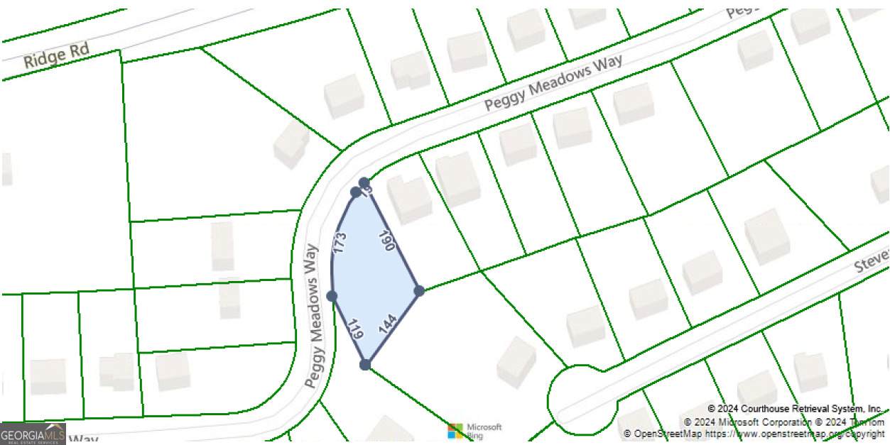 209 Peggy Meadows Way - Photo 1