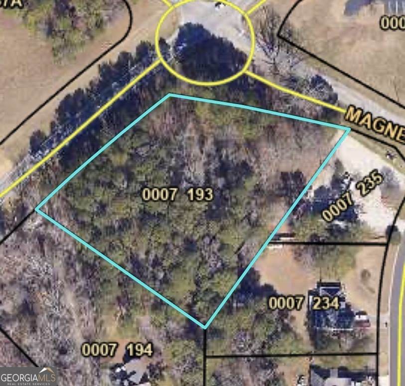 0 Brown Bridge Road - Photo 1