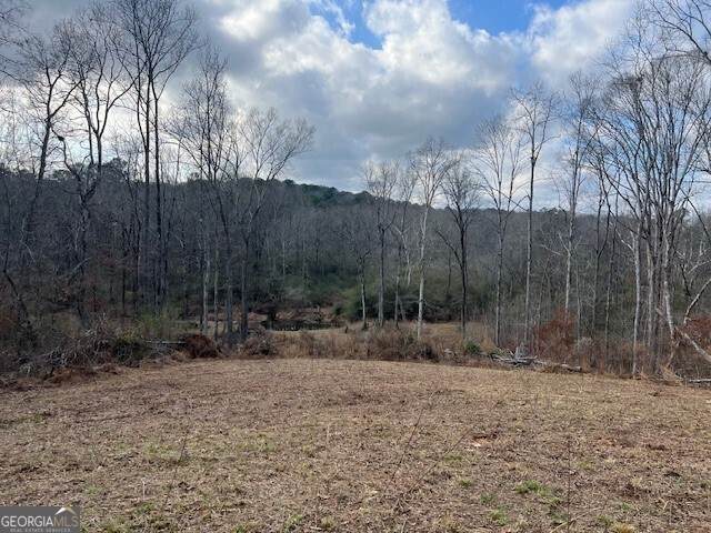 0 Mountain Creek Drive - Photo 1