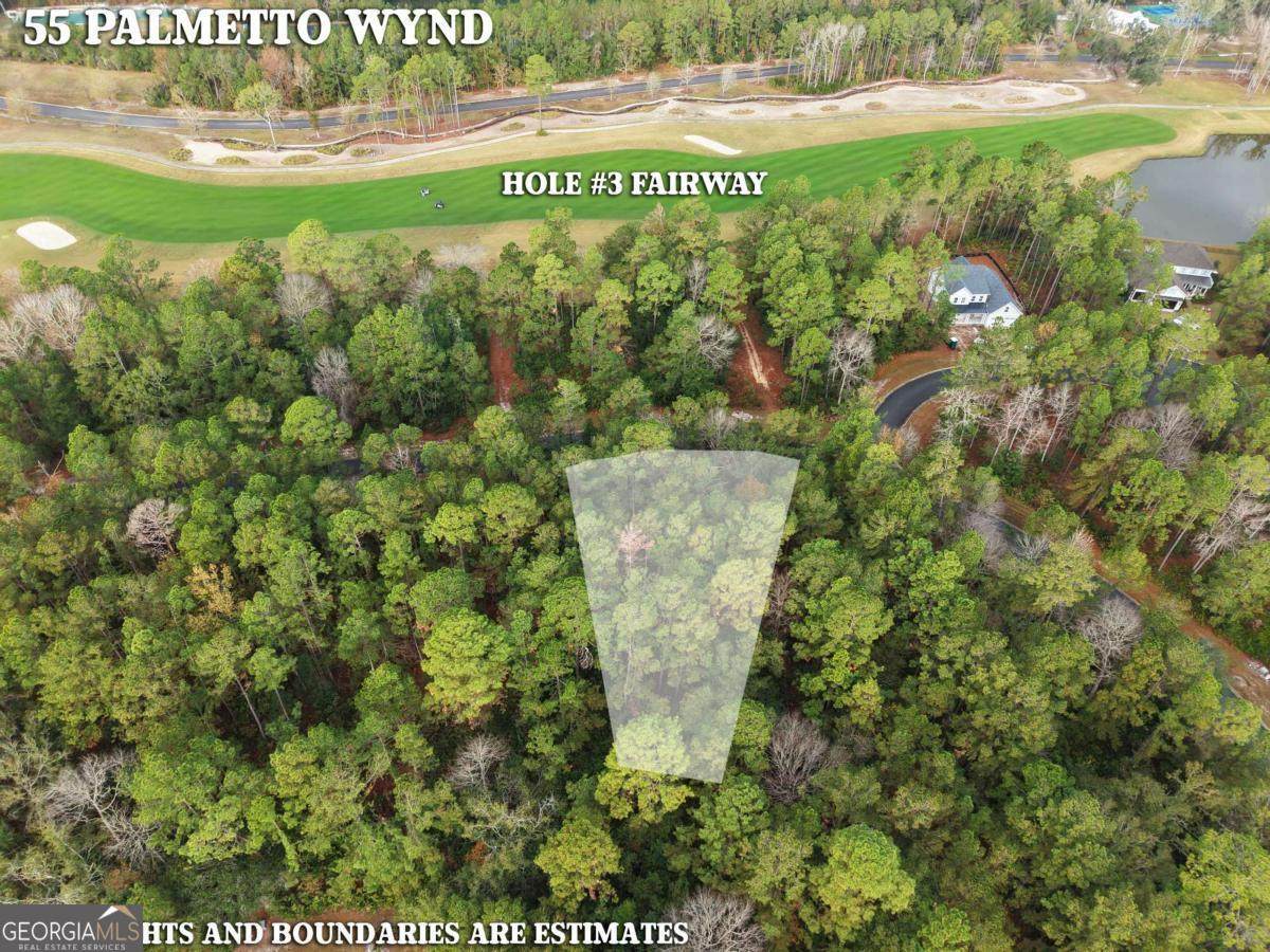 LOT 55 Palmetto Wynd - Photo 1