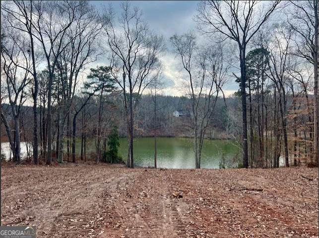 1057 Plantation Drive - Photo 1