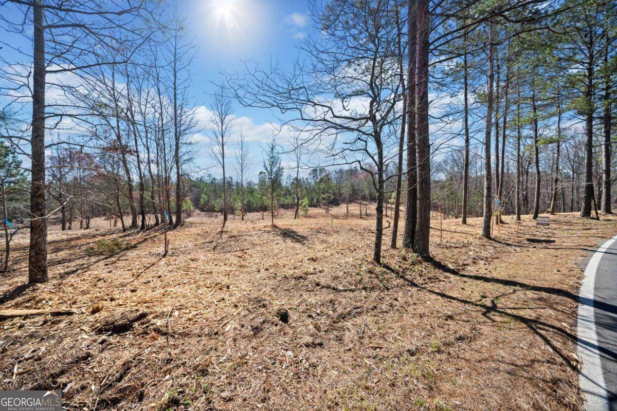 426 Mt. Olive Church Lane - Photo 1