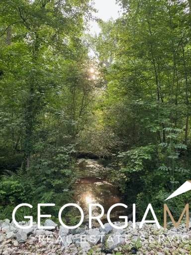 2535B Willow Lane - Photo 1