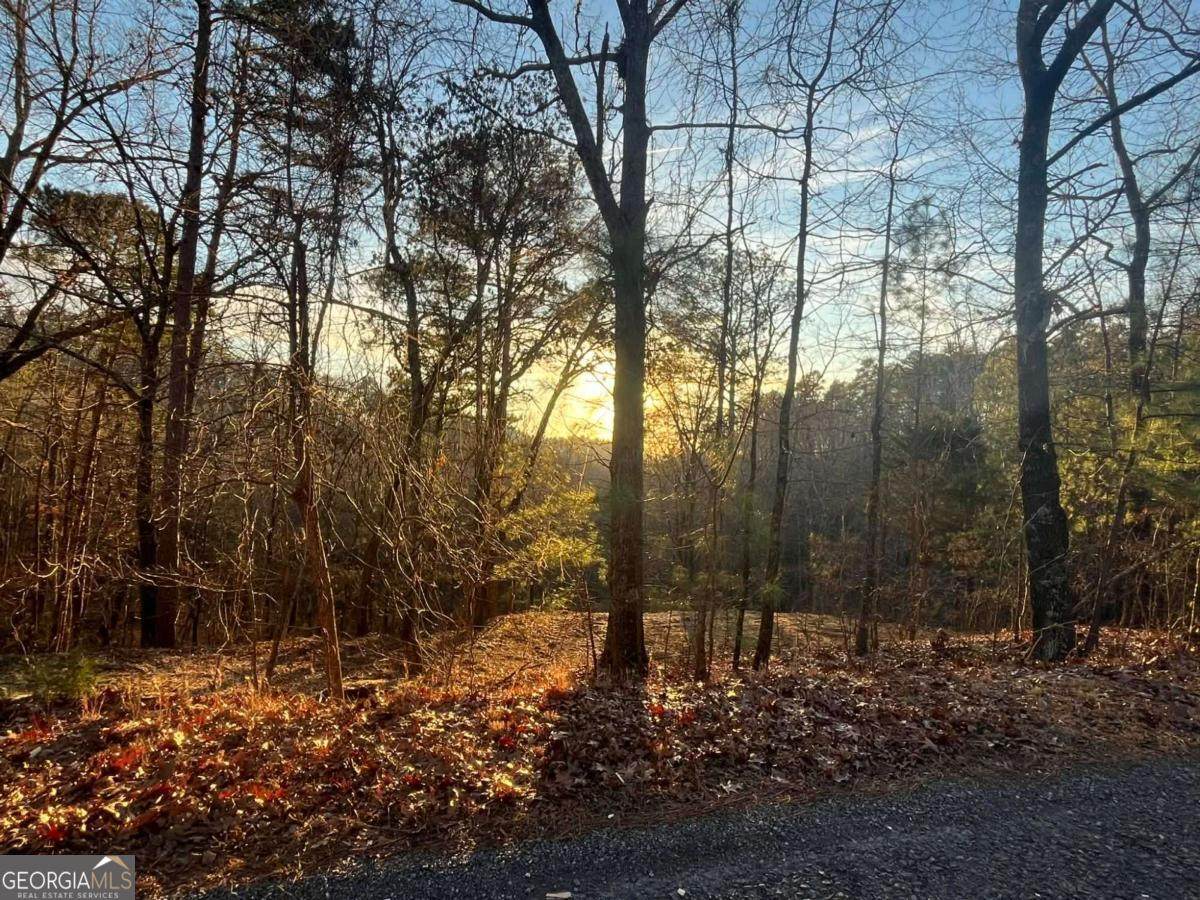 331 Paladin Drive - Photo 1