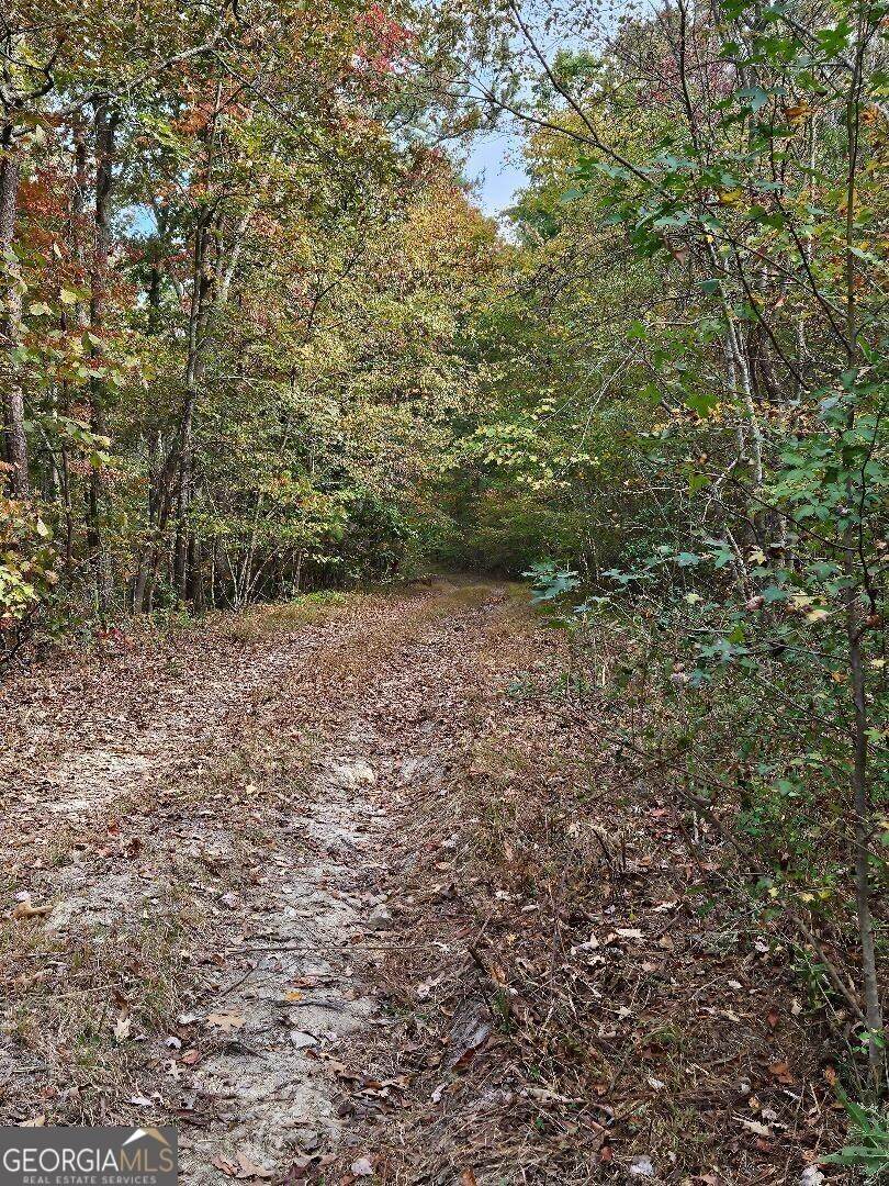 0 Fruit Farm Road - Photo 1