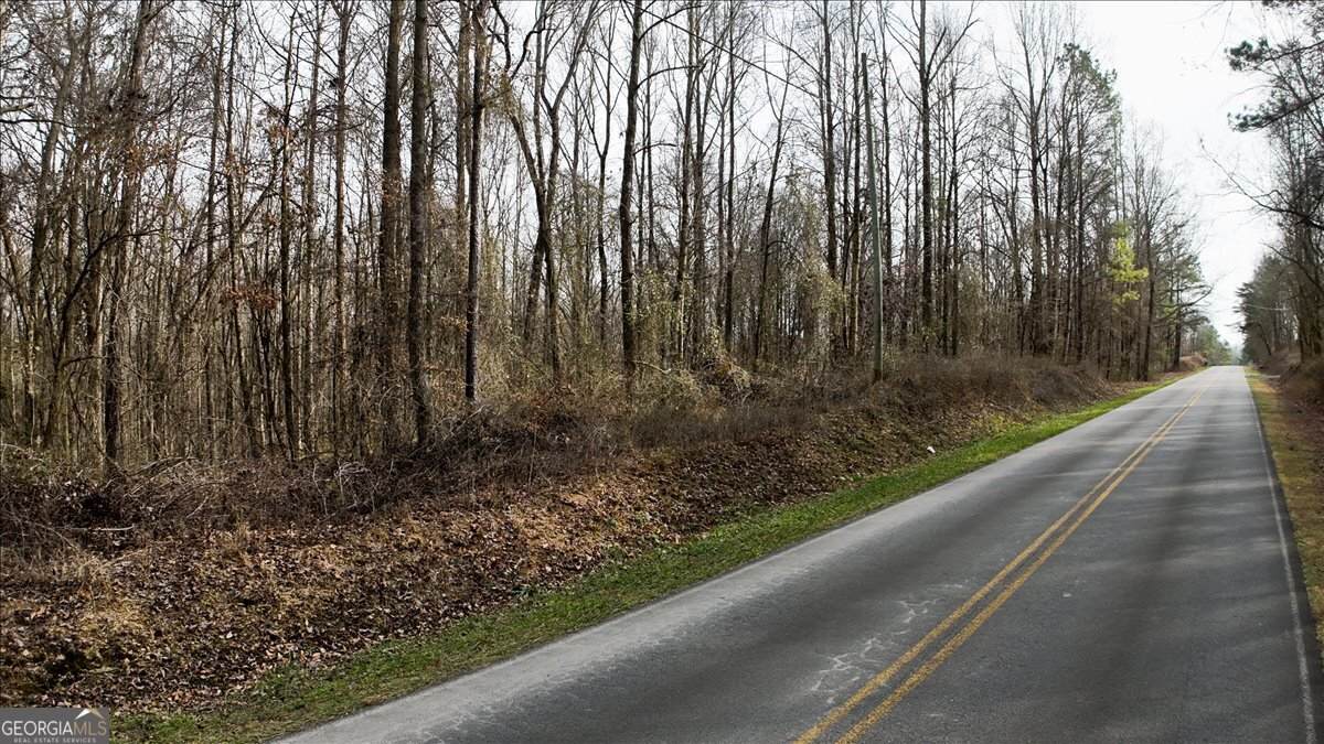 0 Swan Bridge Road - Photo 1