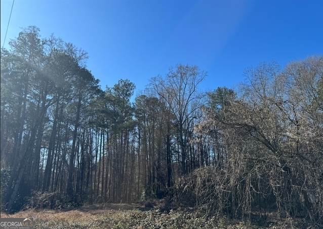 0 Jonesboro Road - Photo 1