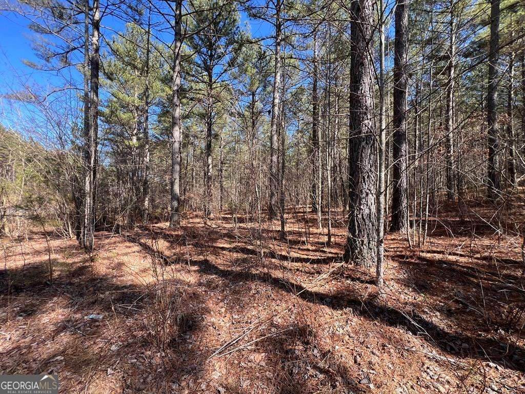 LOT 50 Deyton Drive - Photo 1