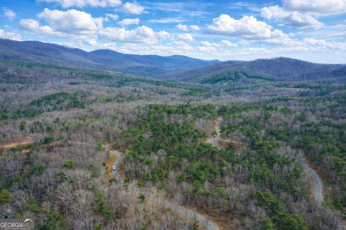 2834 Twisted Oak Road - Photo 1