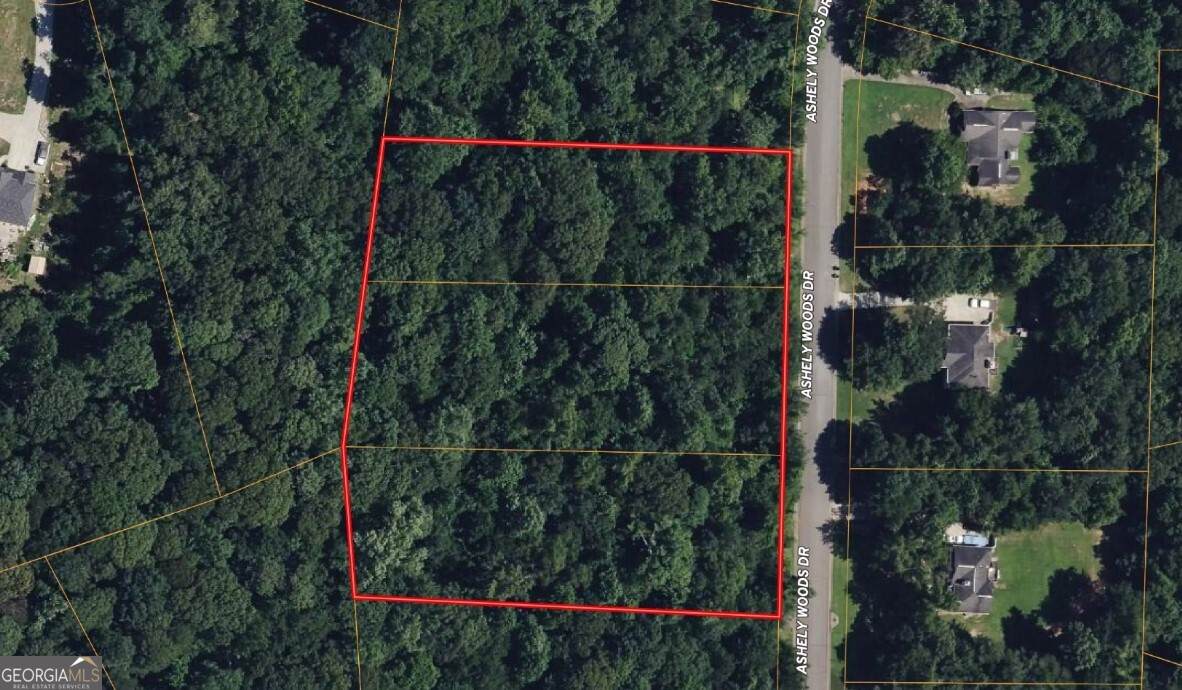 100 Ashley Woods Drive - Photo 1