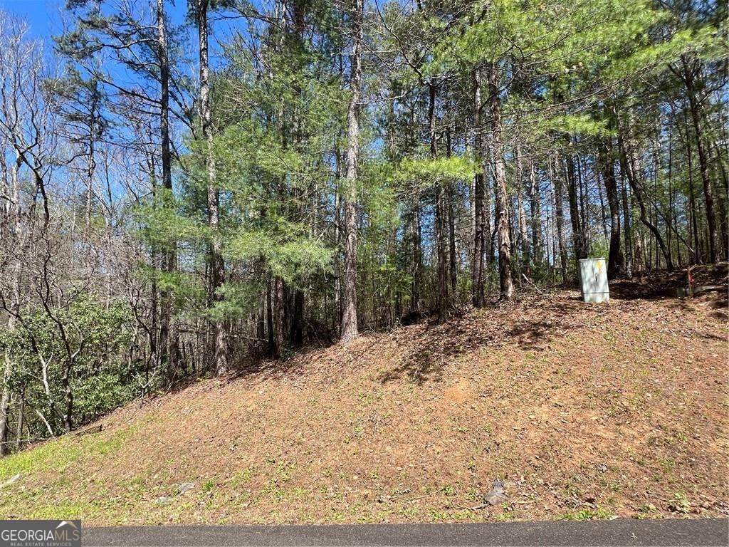 0 Trout Line Court - Photo 1