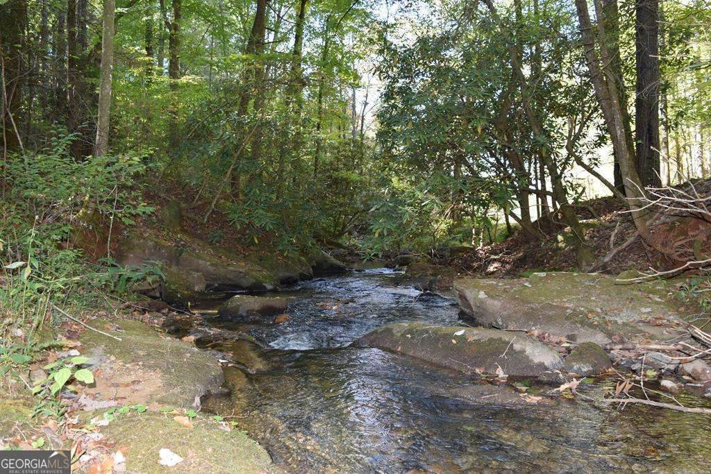 32.98 ACRES Zion Hill Road - Photo 1