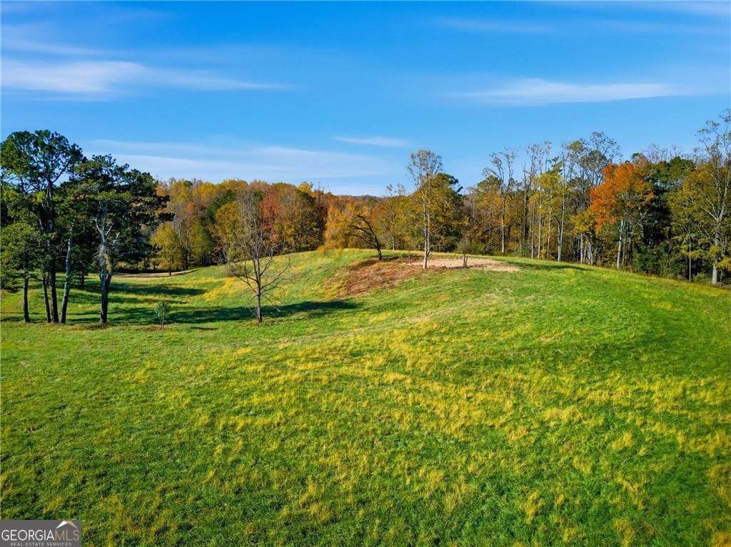 17230 Birmingham Highway - Photo 1