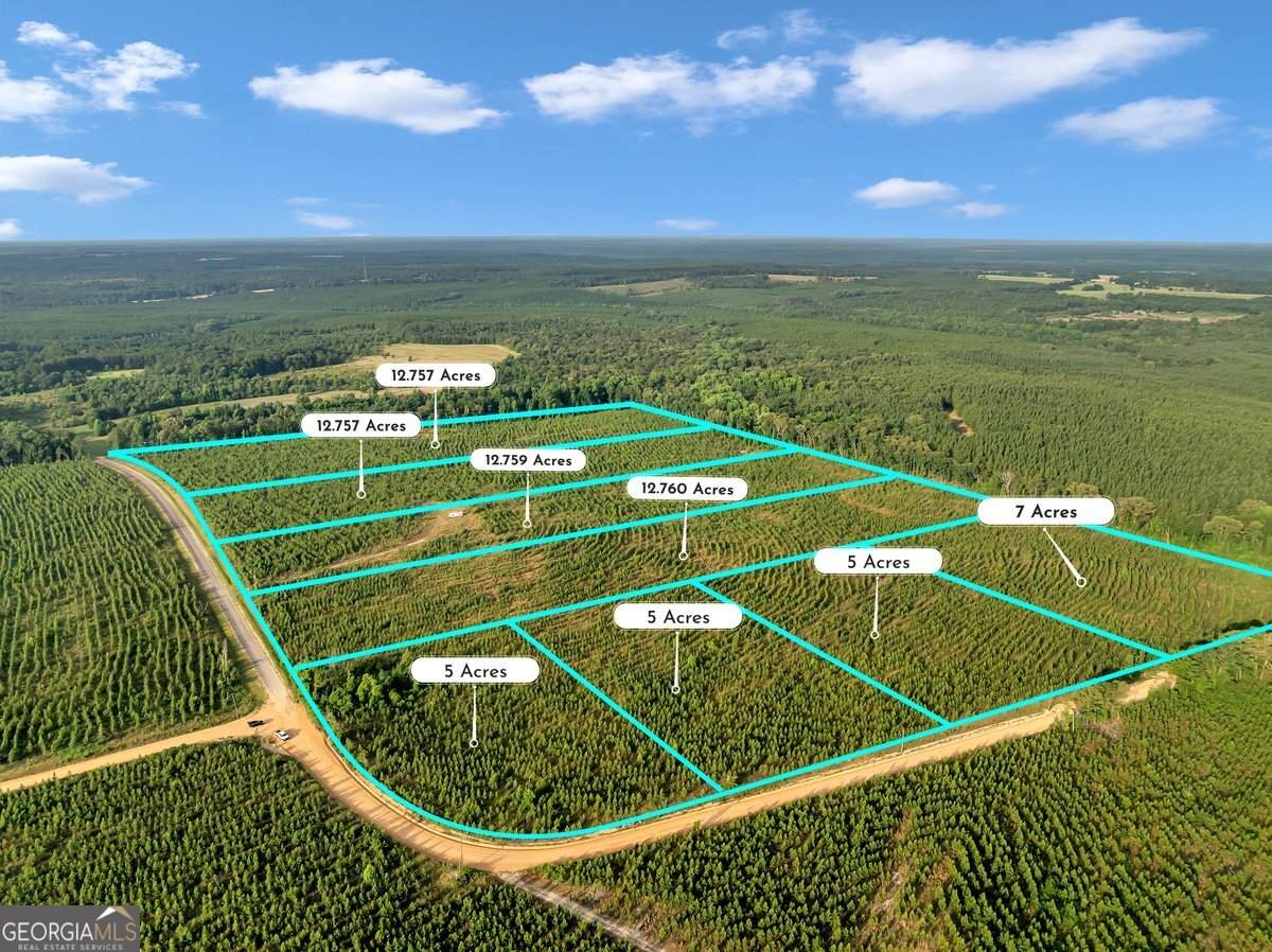 PARCEL 5 Carl Rodgers Road - Photo 1