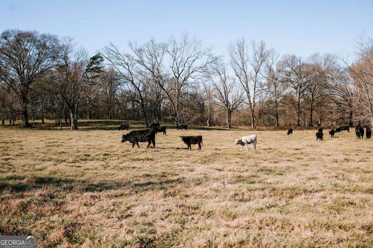 0 Crawfordville Road - Photo 1