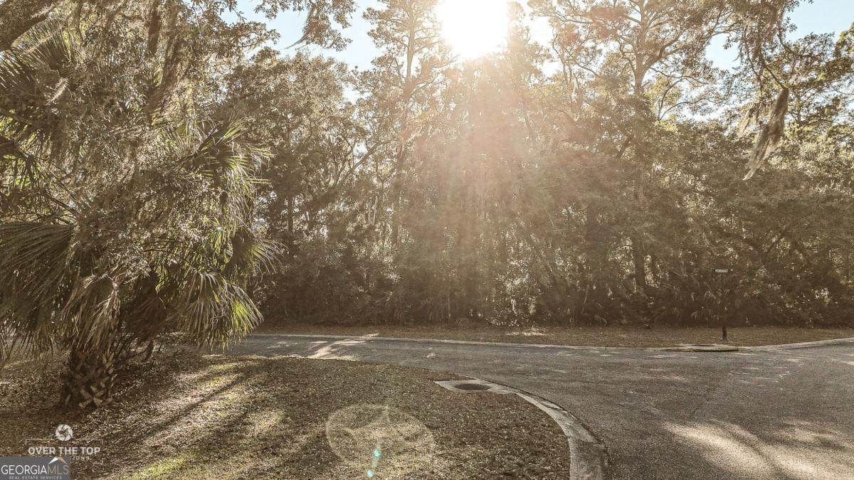 V/L 593 Tattnal Lane - Photo 1