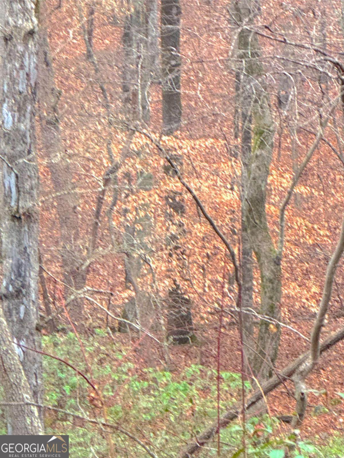 0 Crooked Creek - Photo 1