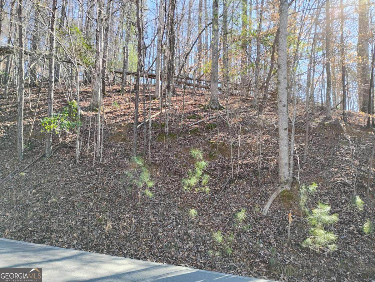 LT 2090R Newport Drive - Photo 1