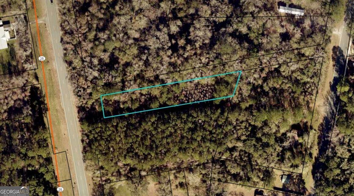 0 Lee North Street - Photo 1