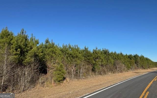 LOT 5 Whitfield Road - Photo 1