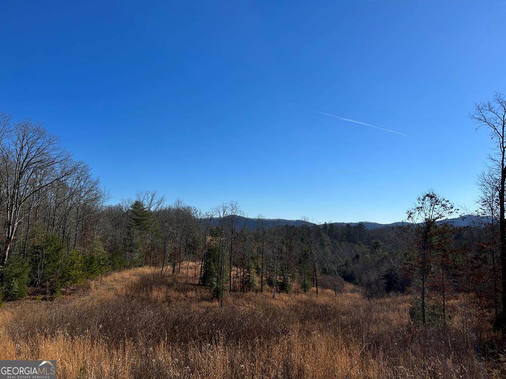 426 Gardenwood Lane - Photo 1