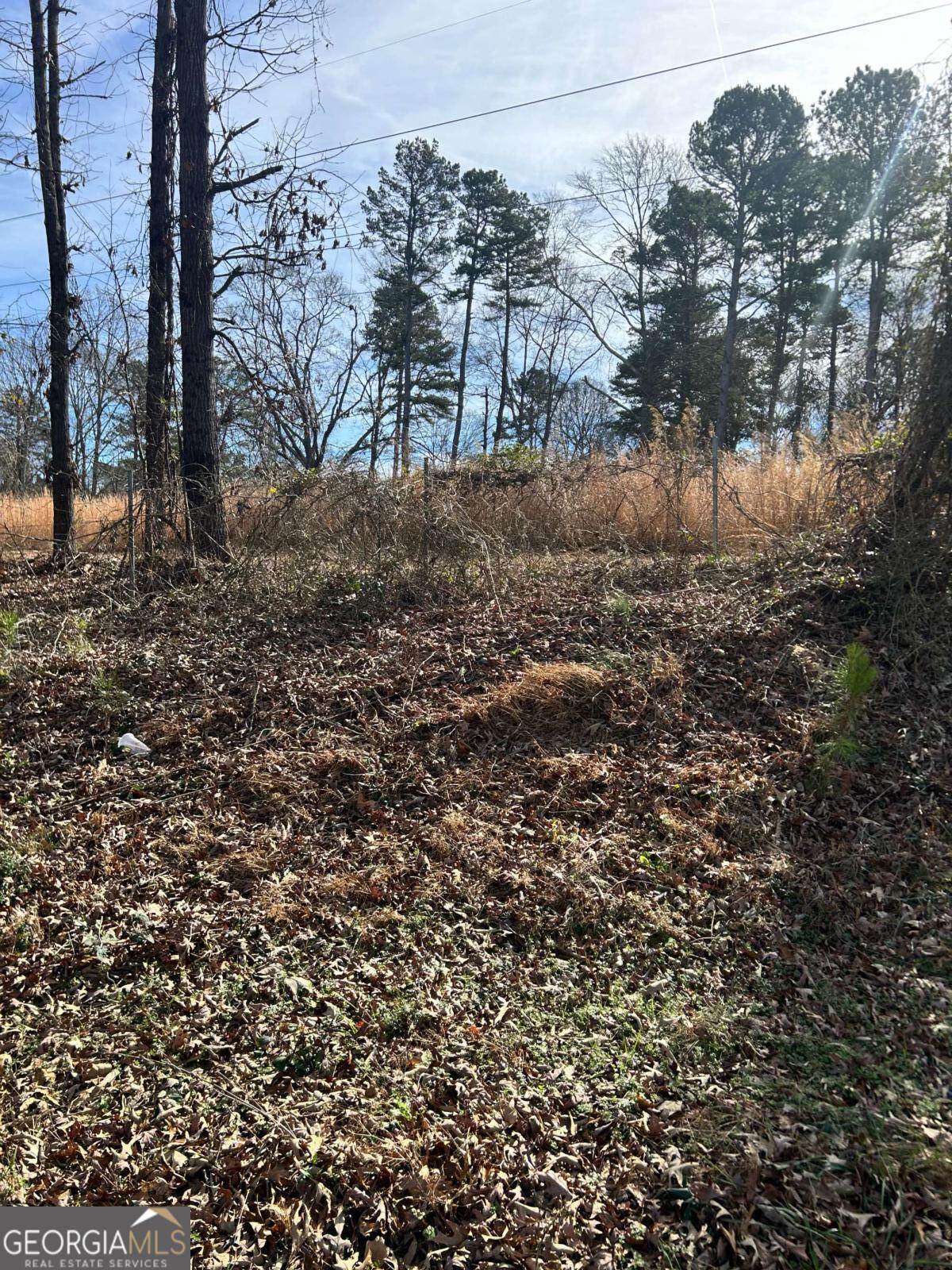 0 Dogwood Trail - Photo 1