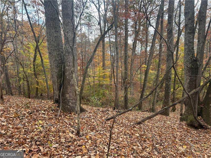 932 Sardis Road - Photo 1