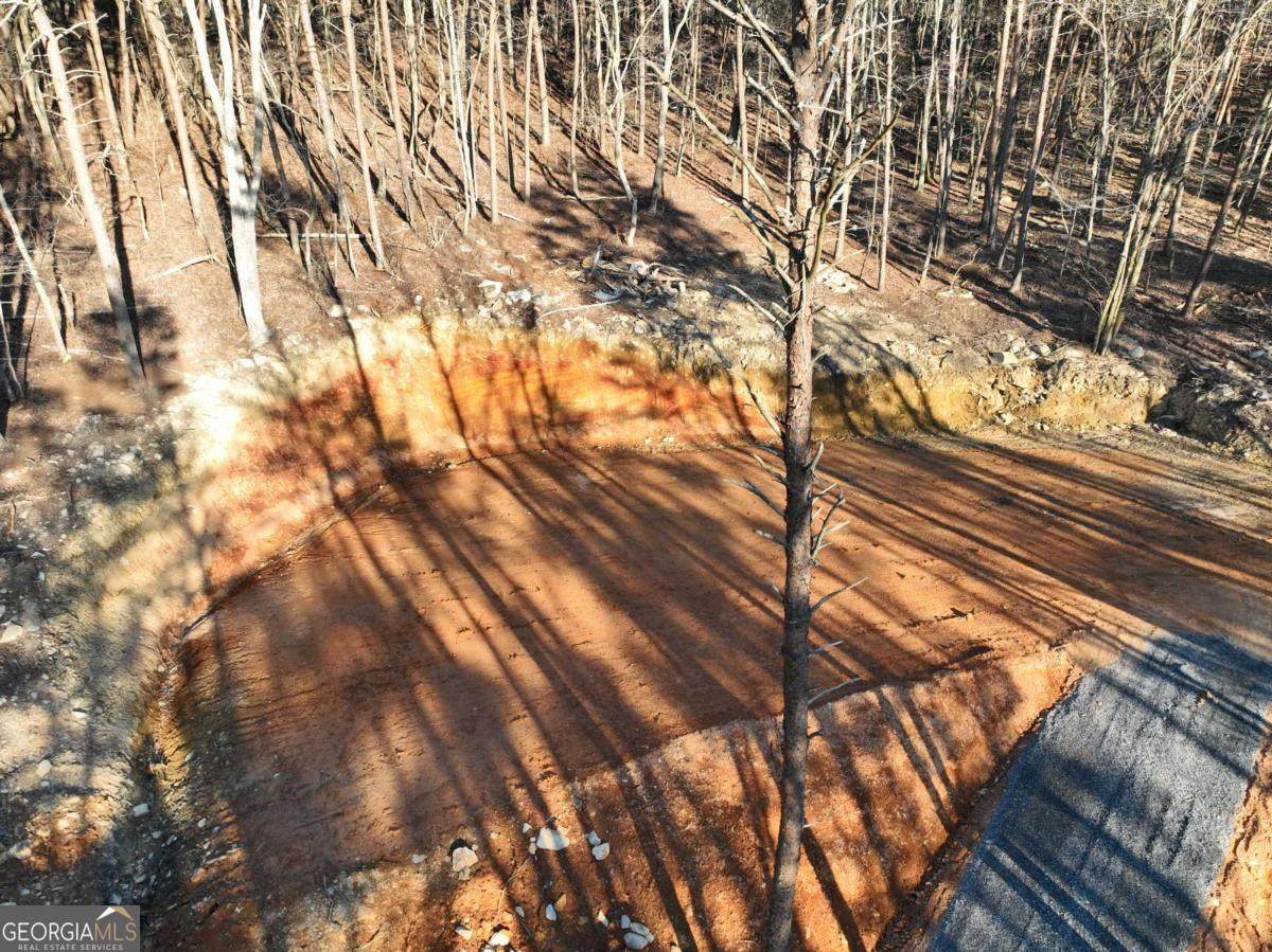1776 Mulberry Circle - Photo 1