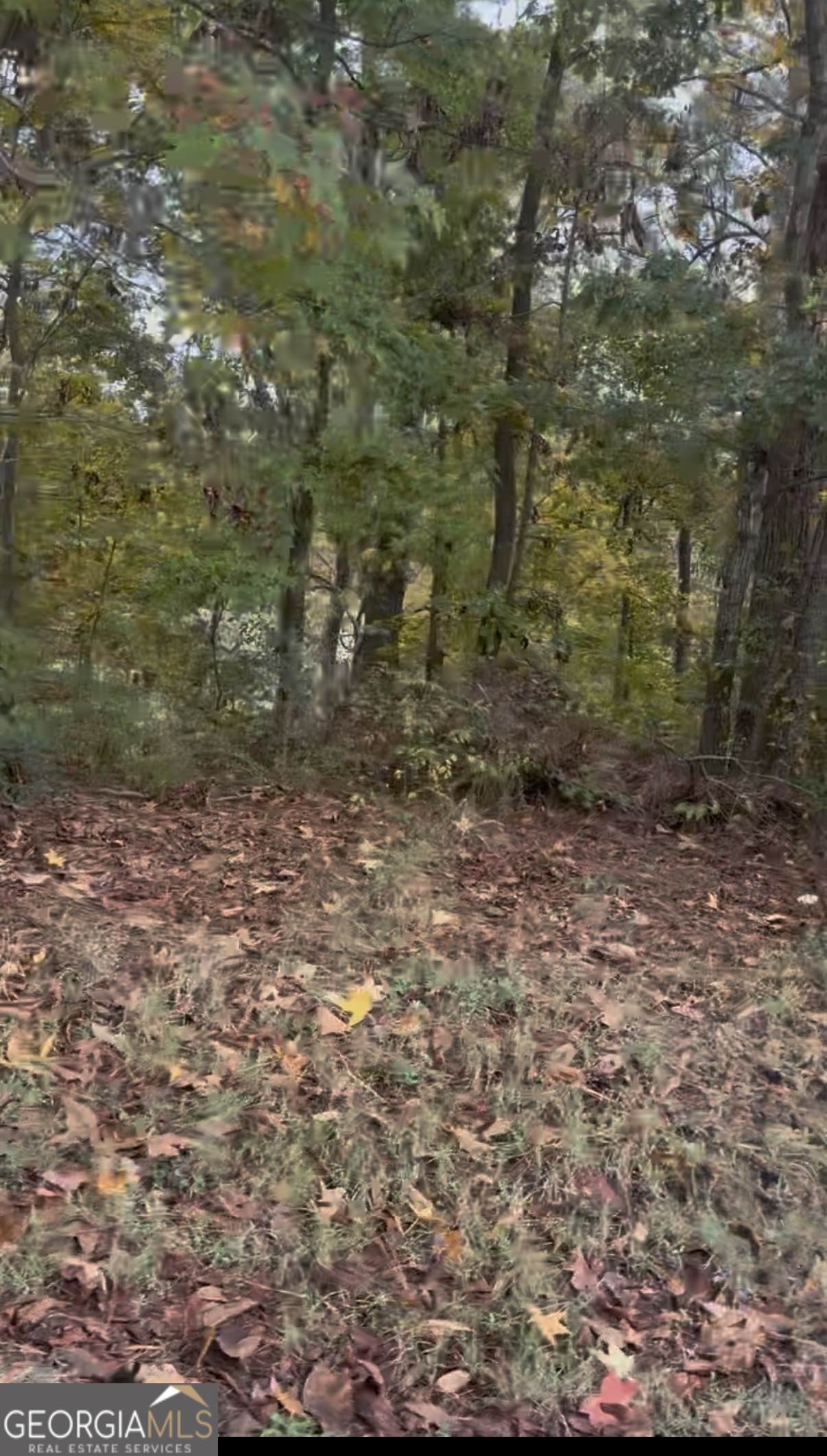 0 Blacks Bluff Road - Photo 1