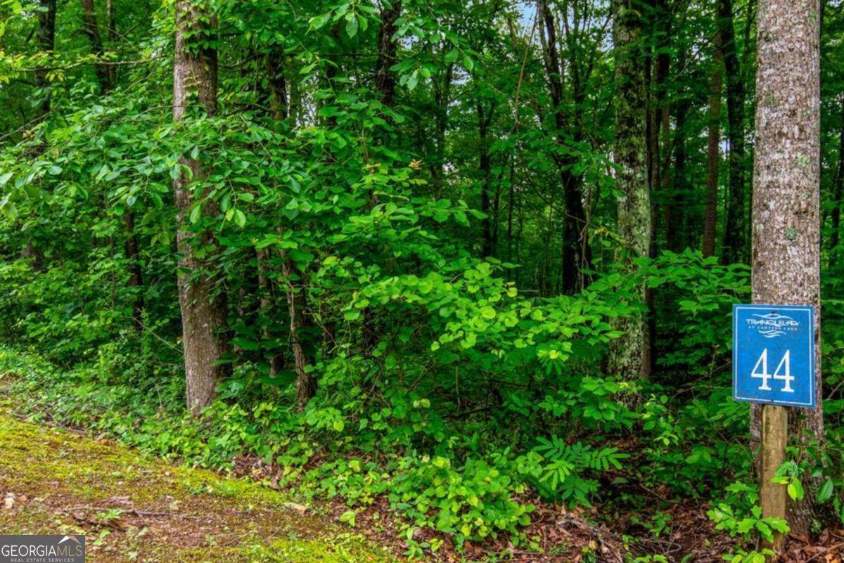 LOT 44 Harris Creek Drive - Photo 1