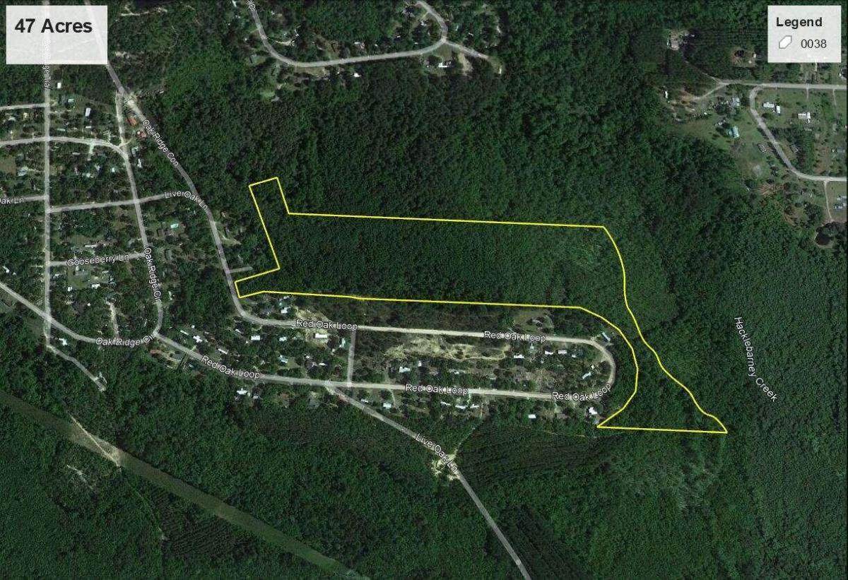 47 +/- ACRES Live Oak Lane - Photo 1