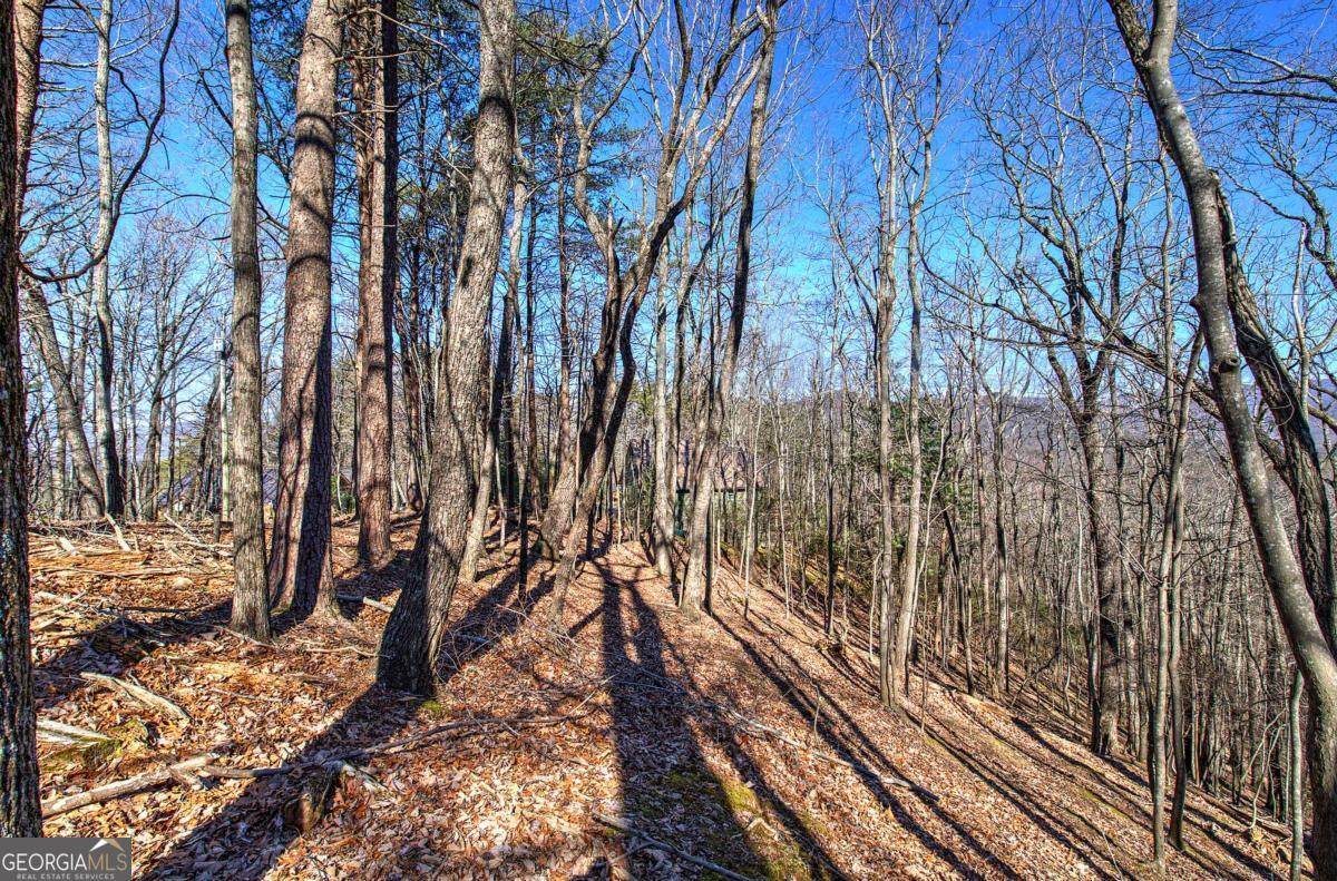 0 Walnut Mountain Road - Photo 1