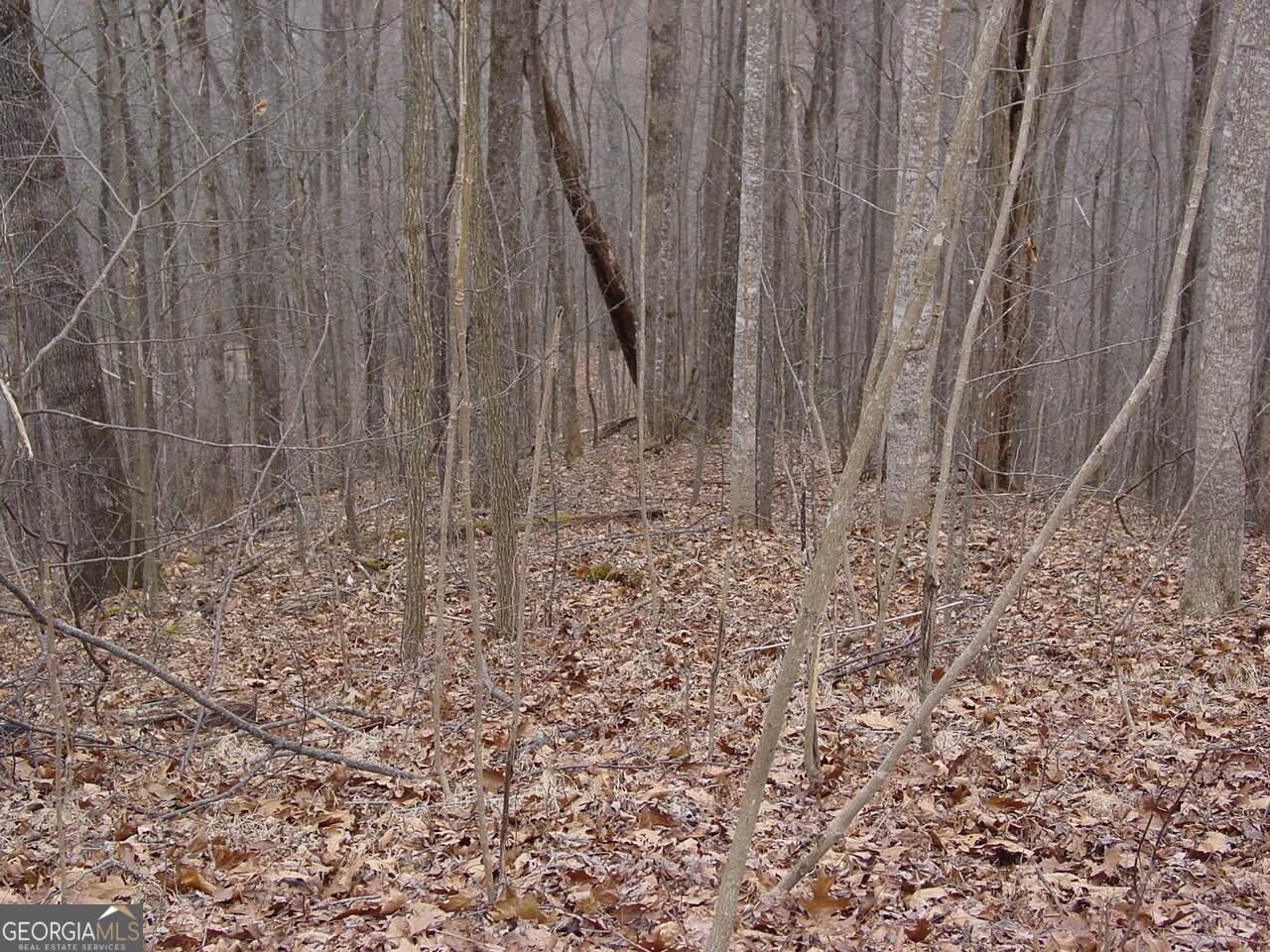 https://bt-photos.global.ssl.fastly.net/gamls/orig_boomver_1_10682063-2.jpg