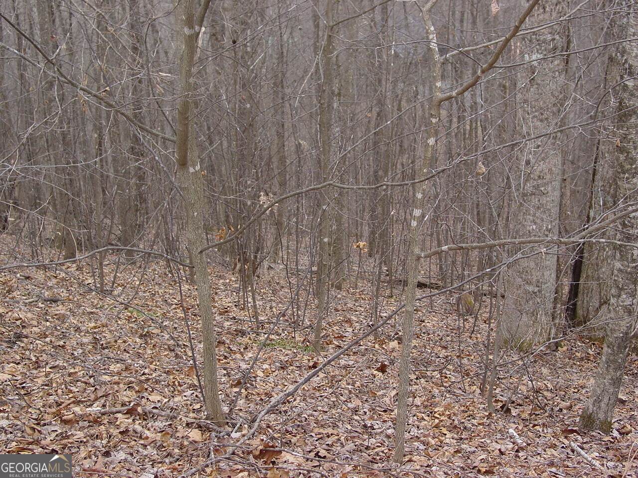 https://bt-photos.global.ssl.fastly.net/gamls/orig_boomver_1_10682072-2.jpg