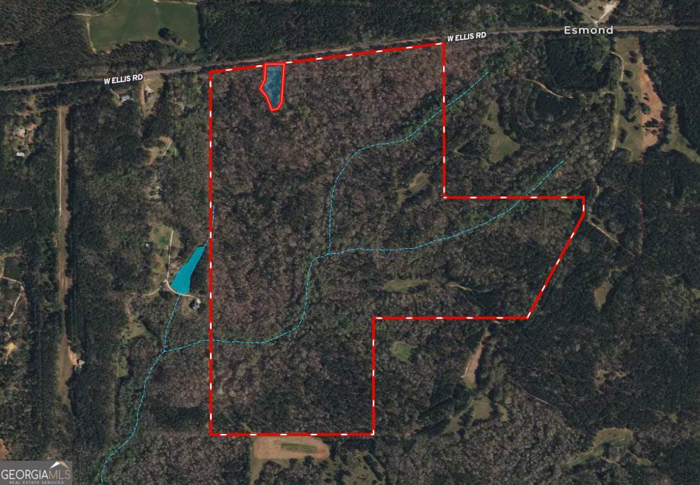 200 AC Ellis Road - Photo 1