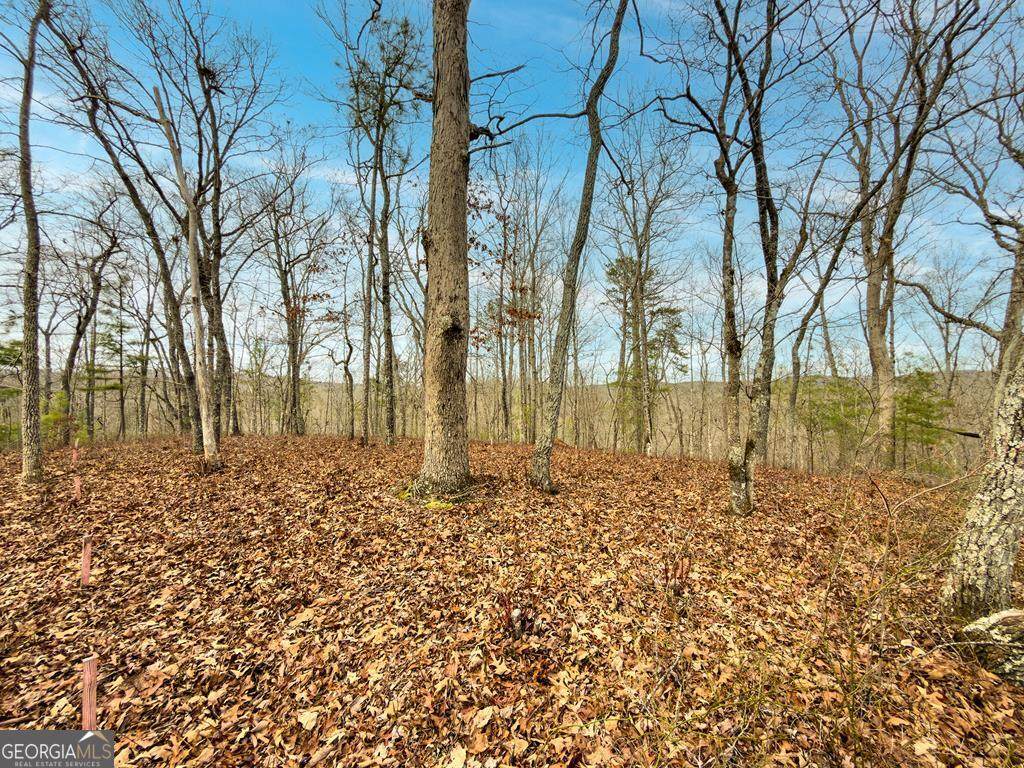 LTS 156 & 157 Harris Creek Drive - Photo 1