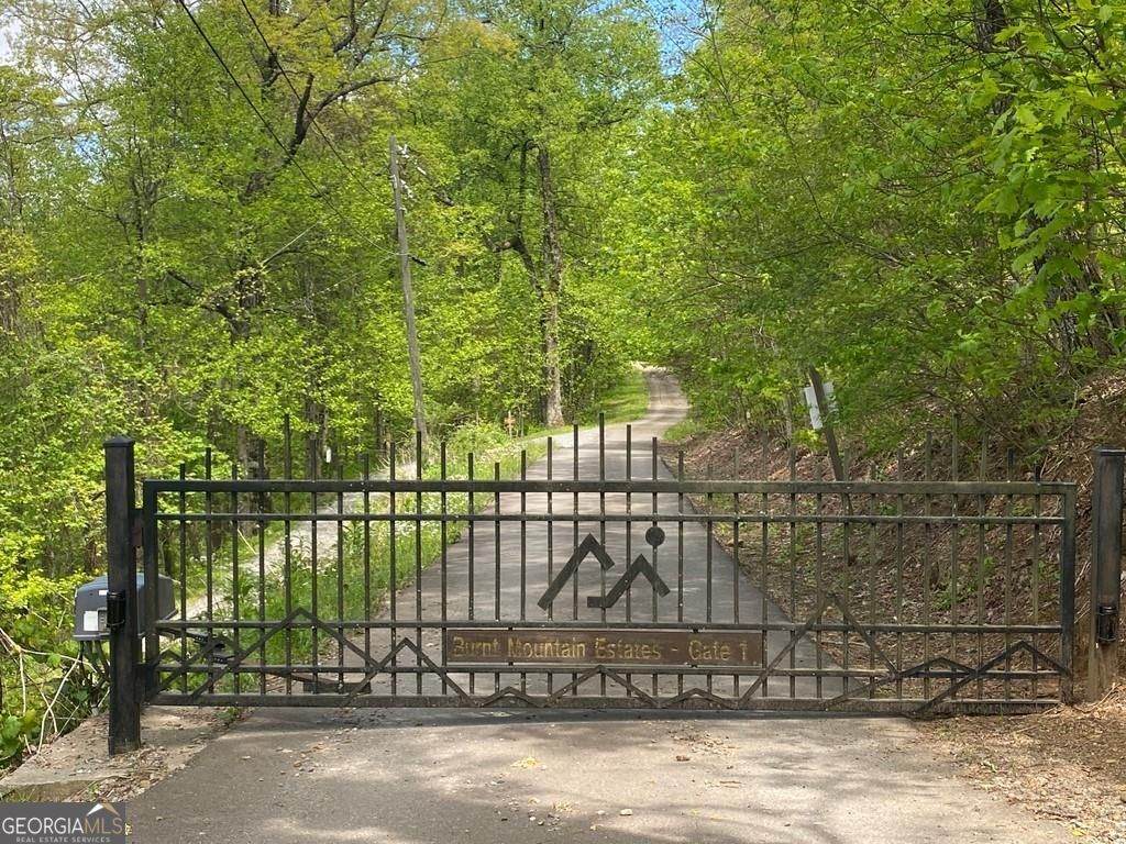 0 Burnt Mountain Cove Road - Photo 1