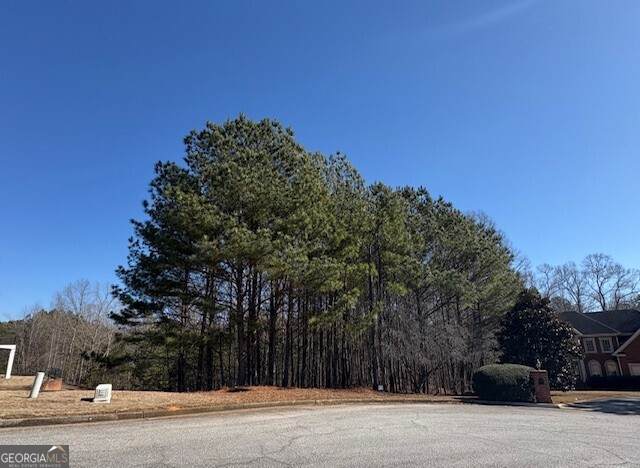 4290 Bronte Lane - Photo 1